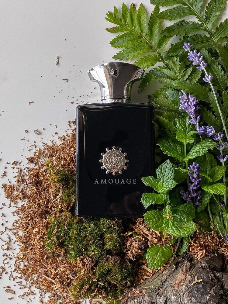 عطر ادکلن آمواج ممویر مردانه | Amouage Memoir Man